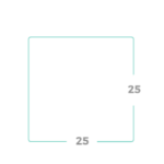 25x25